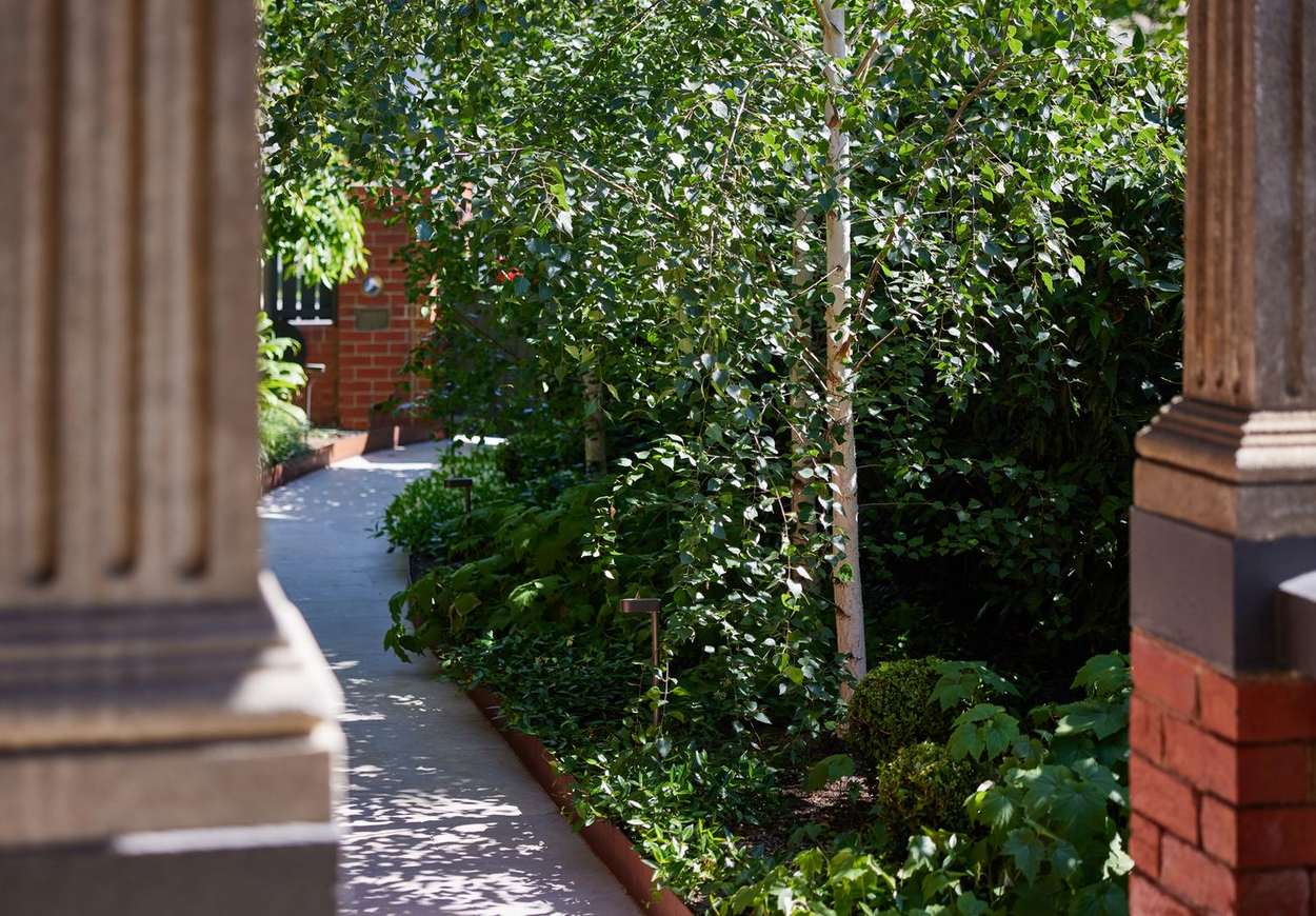 Silver birch and understorey planting along the entry path