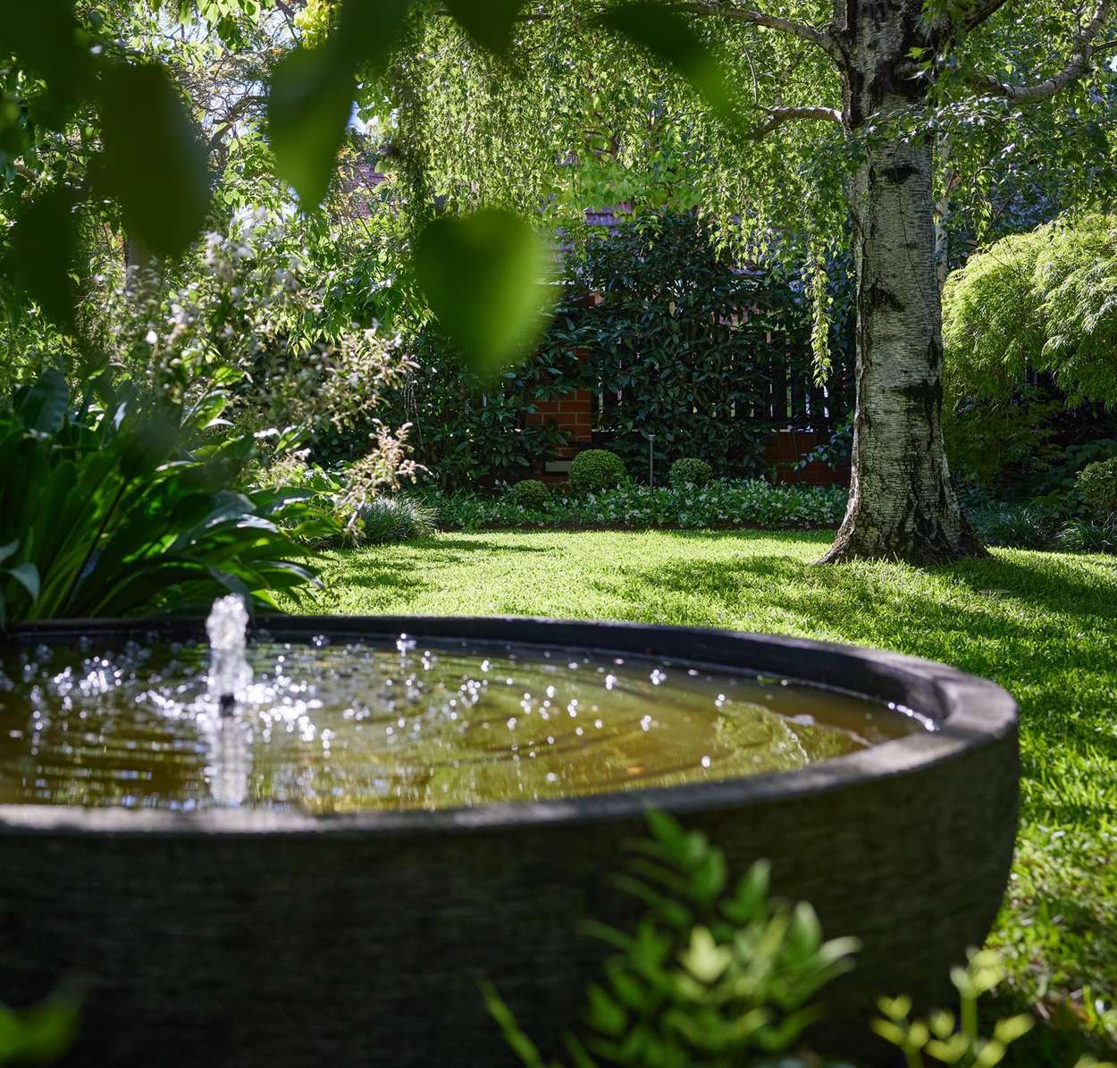 Stone water bowl set into the lawn edge, birch beyond