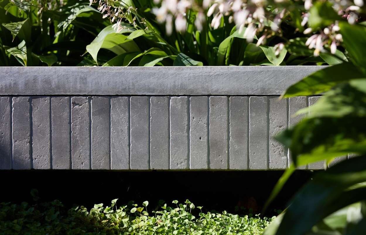 Raised planter edge in brick and concrete, hosta and clivia behind