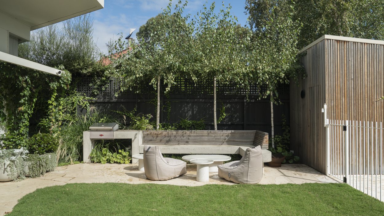 The courtyard looking across to the concrete bench and outdoor kitchen, silver birch behind