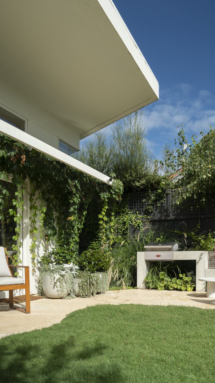 The pavilion eave and the outdoor kitchen seen from the lawn, creeper across the wall