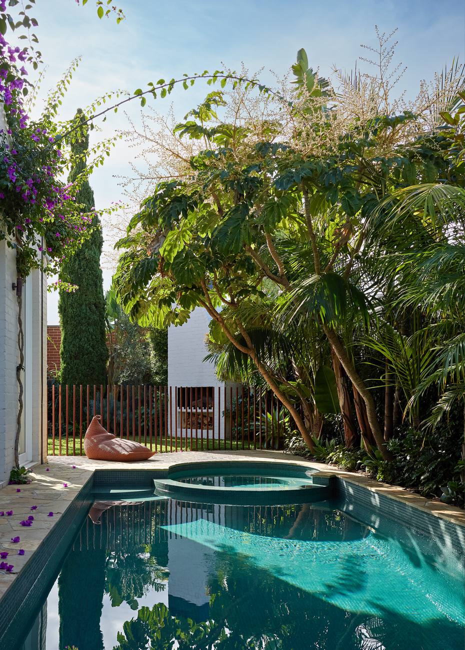 The pool running the length of the house under a broad canopy of tetrapanax and palm