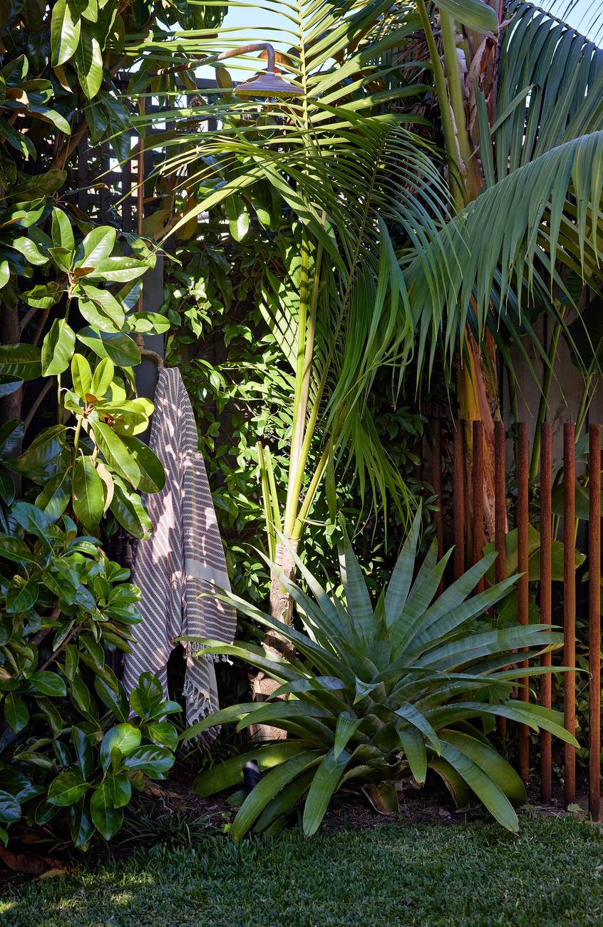 Outdoor shower set into the planting, towel hung beside a young palm and bromeliad