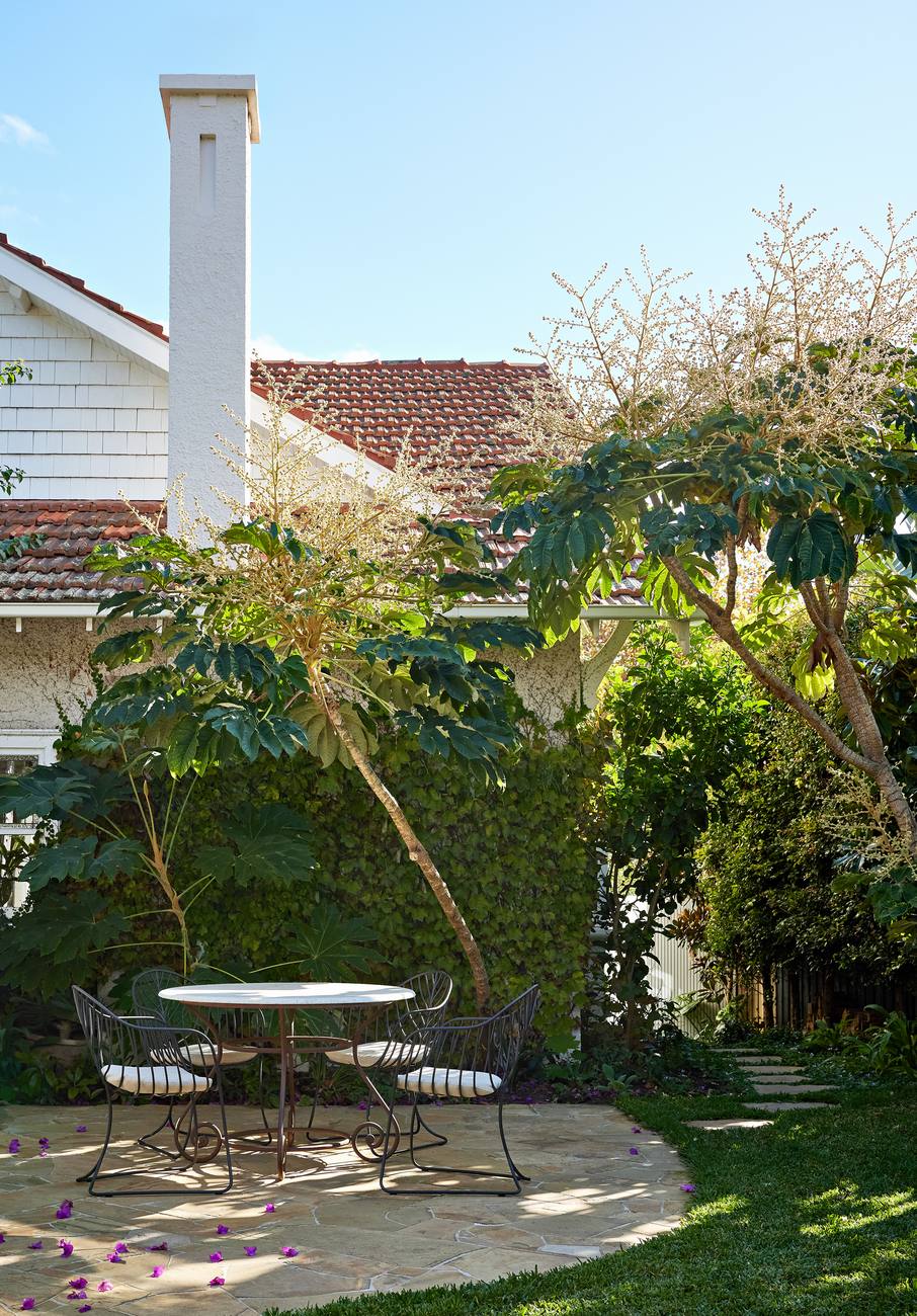 Round table and wire chairs on the sandstone terrace under the tetrapanax