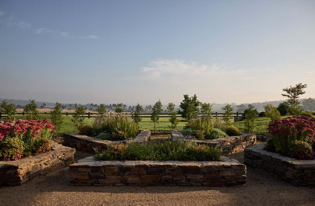Dry stone walled garden beds planted with sedum and natives, paddocks and morning haze beyond