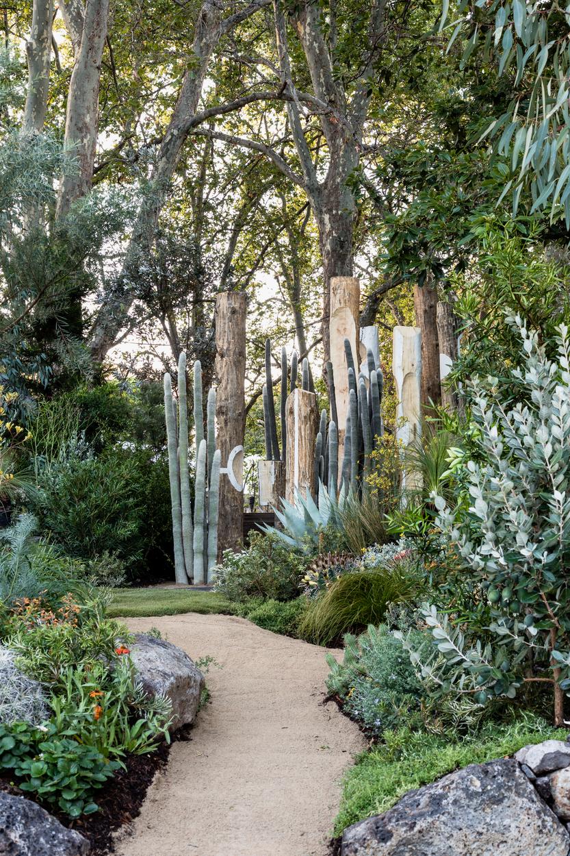The path narrowing between grass trees and olive, poles and cactus closing off the view
