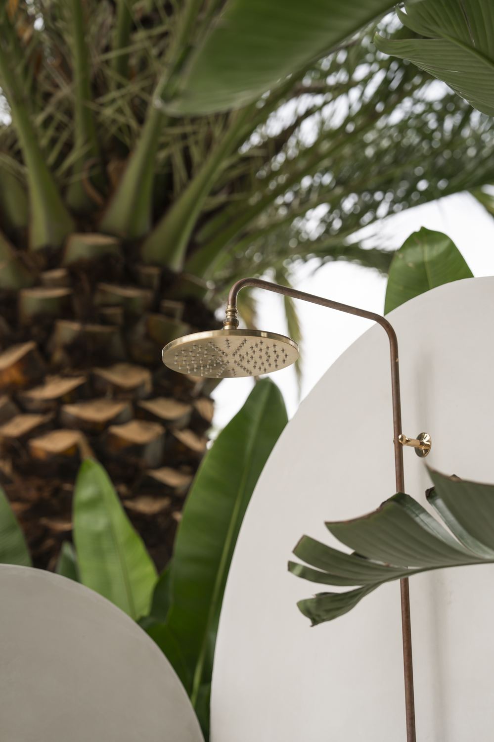 Detail of the aged brass rain shower head against the trunk of a date palm