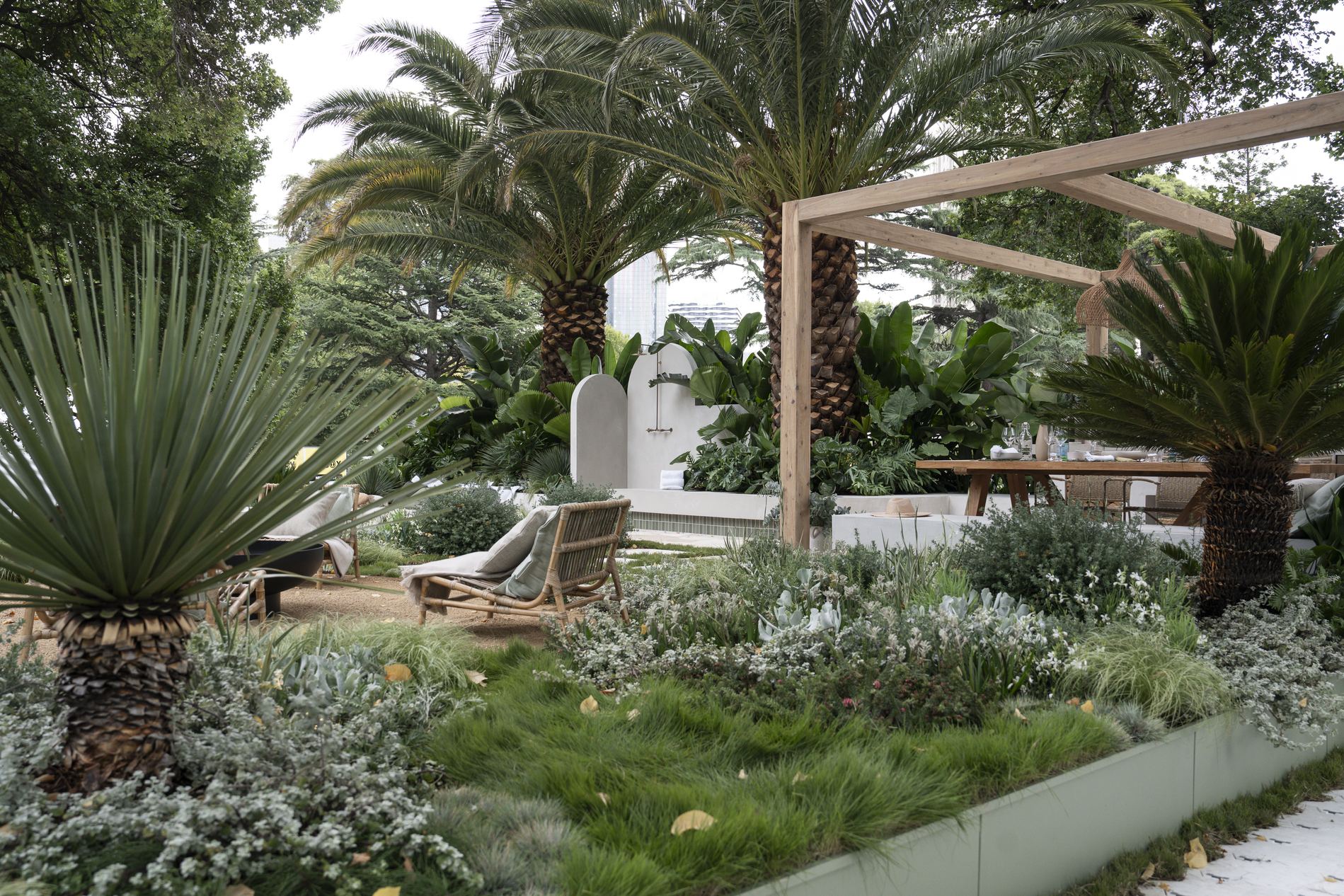 The garden read as a whole, cycads and date palms over silver planting with the pergola to the right