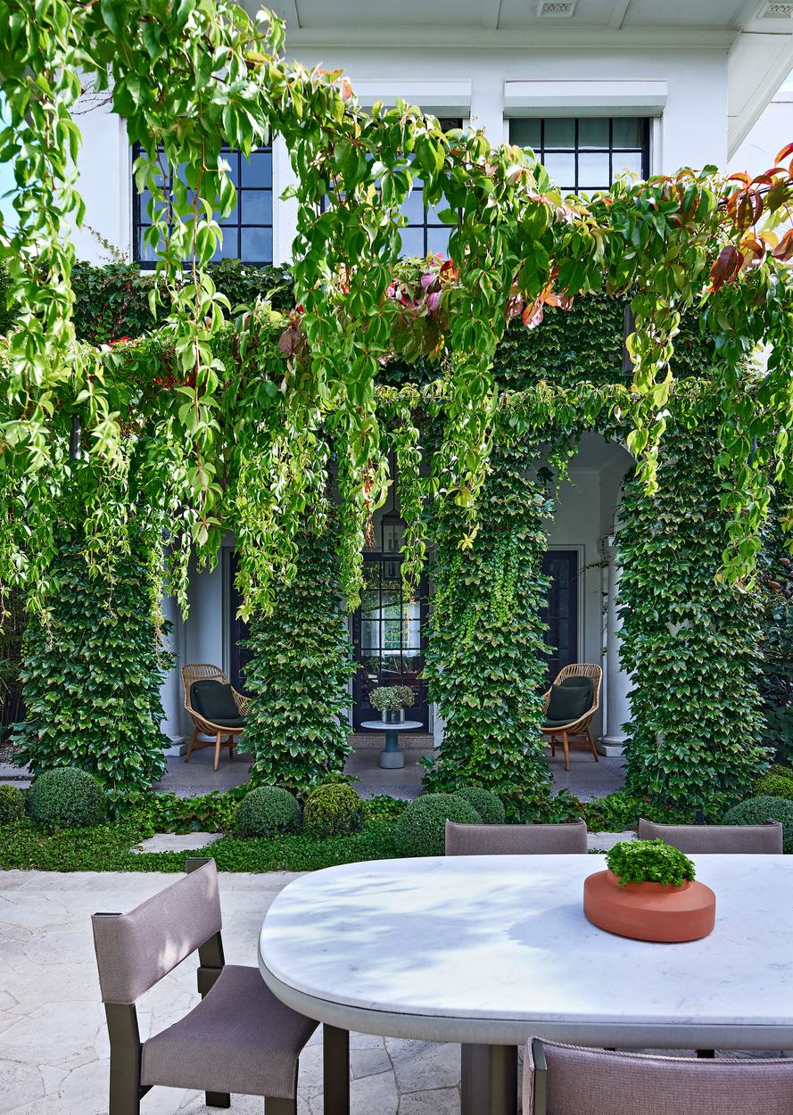 The loggia seen from the dining terrace, ivy grown over its arches and columns, cane chairs in the shade beyond